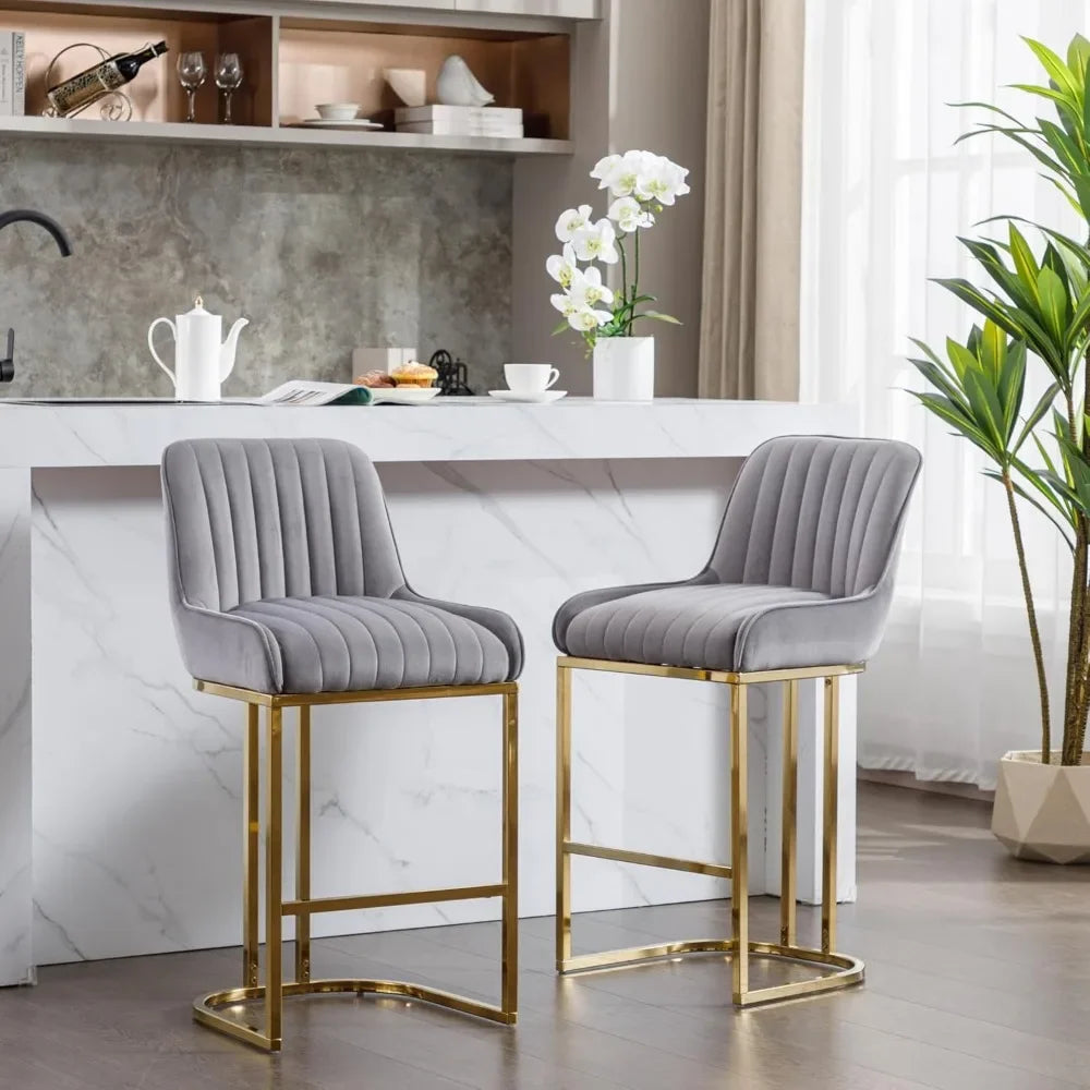 Set of 2 Luxurious Kitchen Bar Stools