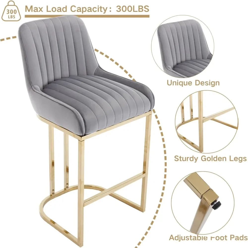 Set of 2 Luxurious Kitchen Bar Stools