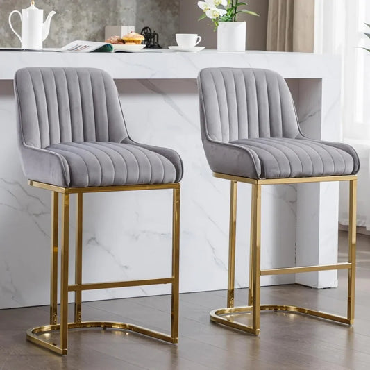Set of 2 Luxurious Kitchen Bar Stools